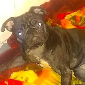 Meet your Posher, Gladis